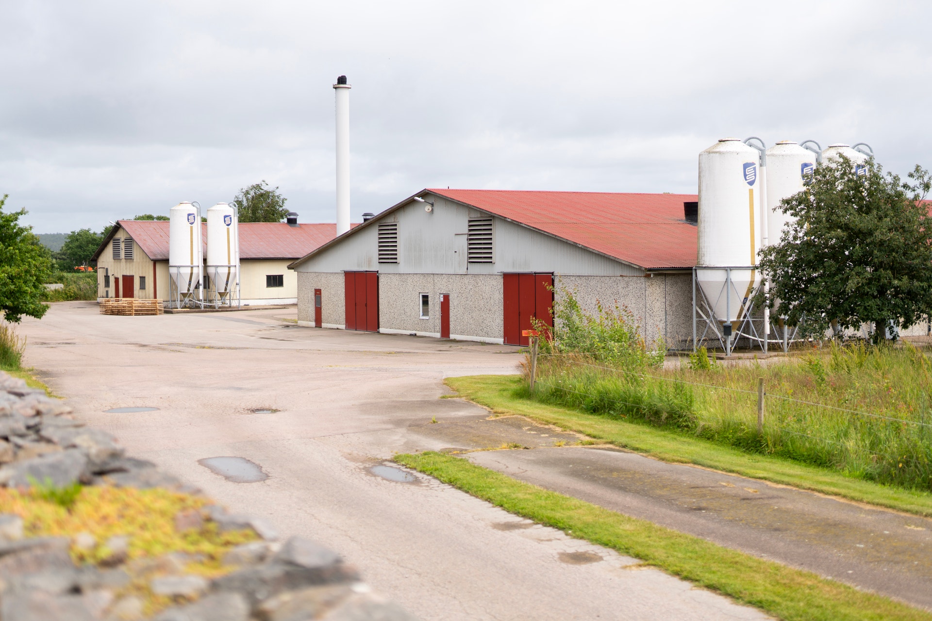 En modern gård med vita byggnader, rött tak och röda dörrar. Silos och lantbruksstrukturer syns på gårdsplanen omgiven av grönska.