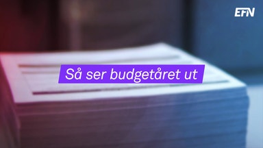 Från vårpropp till höstbudget