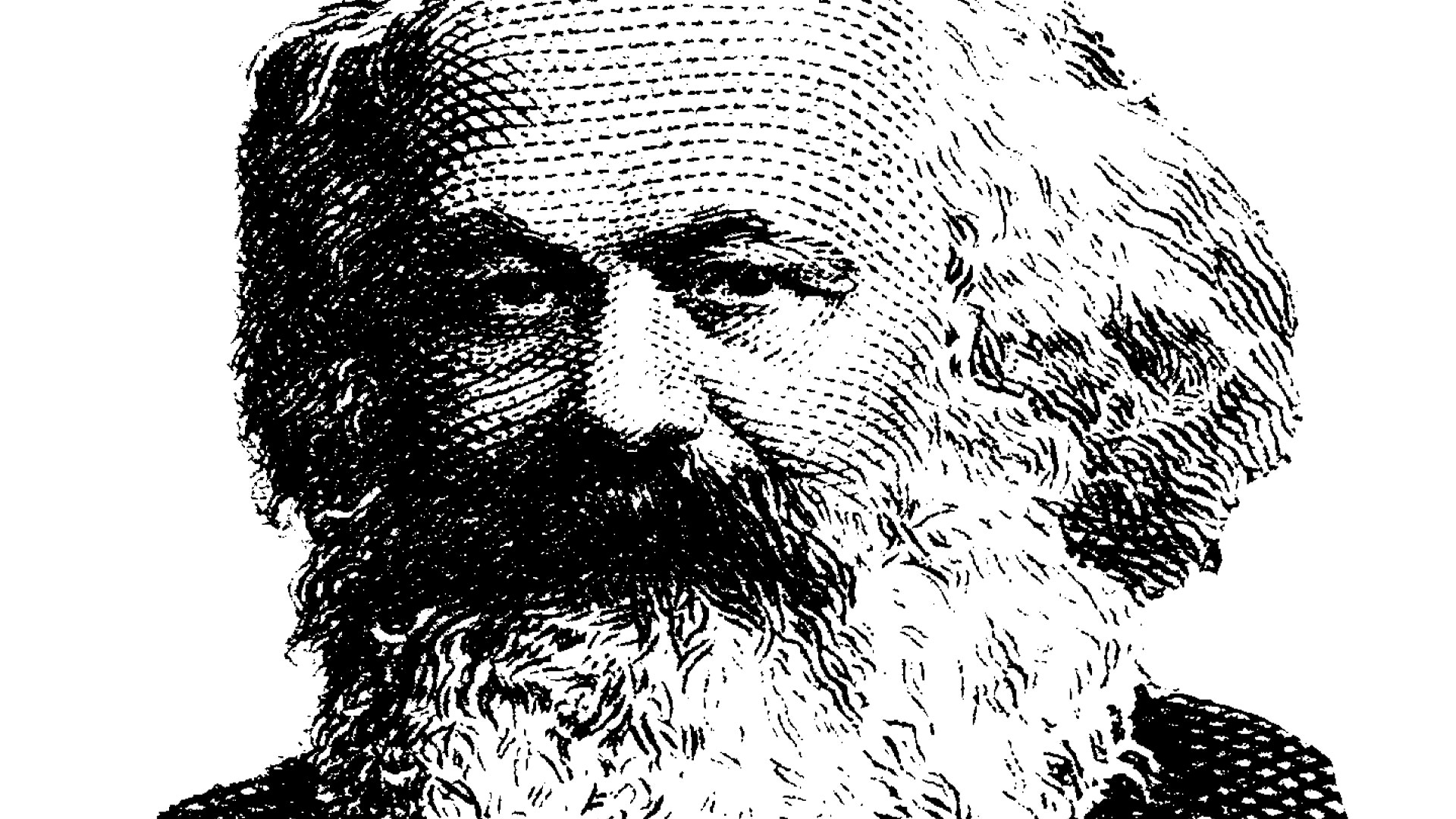 Karl Marx illustration Josefin Gahmberg