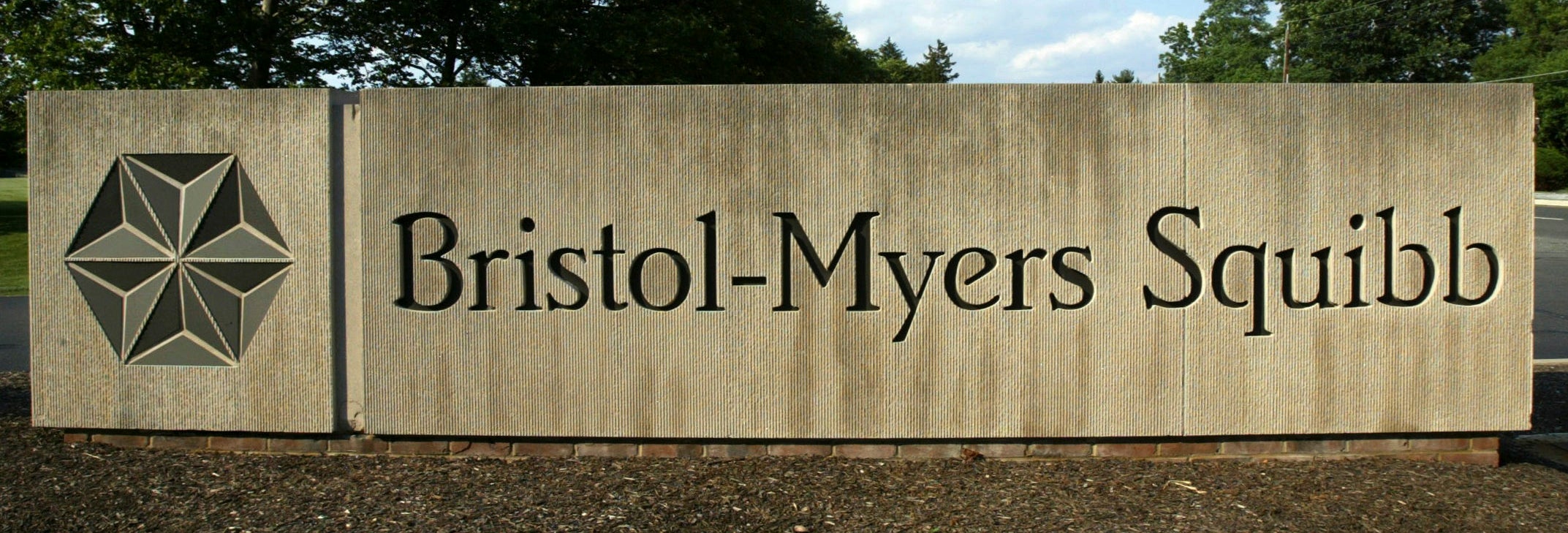 Bristol Myers Squibb rusar i förhandeln