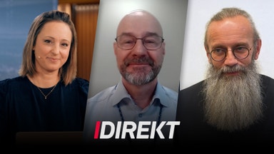 Novo Nordisk om varför Alzheimer-studierna föll