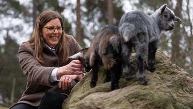 Oväntade hotet som kan slå mot Kolmården: ”En utmaning”