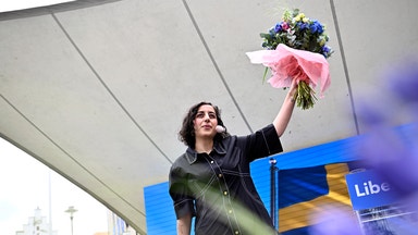 Vem behöver liberalerna längre?