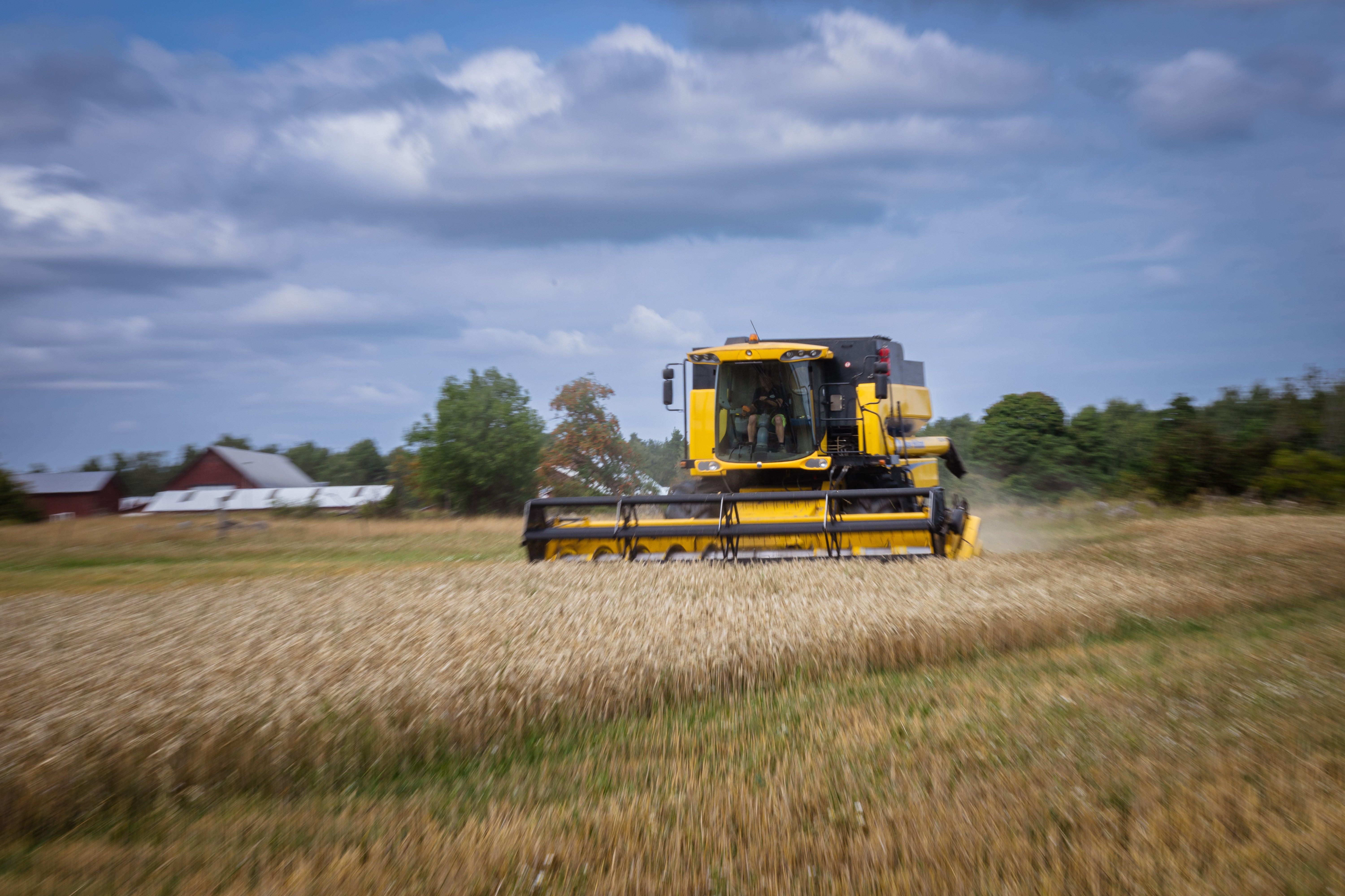 Gödselpriser stiger i spåren av Irankonflikten: ”Förvärrat situationen”