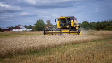 Gödselpriser stiger i spåren av Irankonflikten: ”Förvärrat situationen”