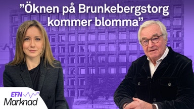 Hagströmer: Thedéen kan göra Riksbanken funktionell igen