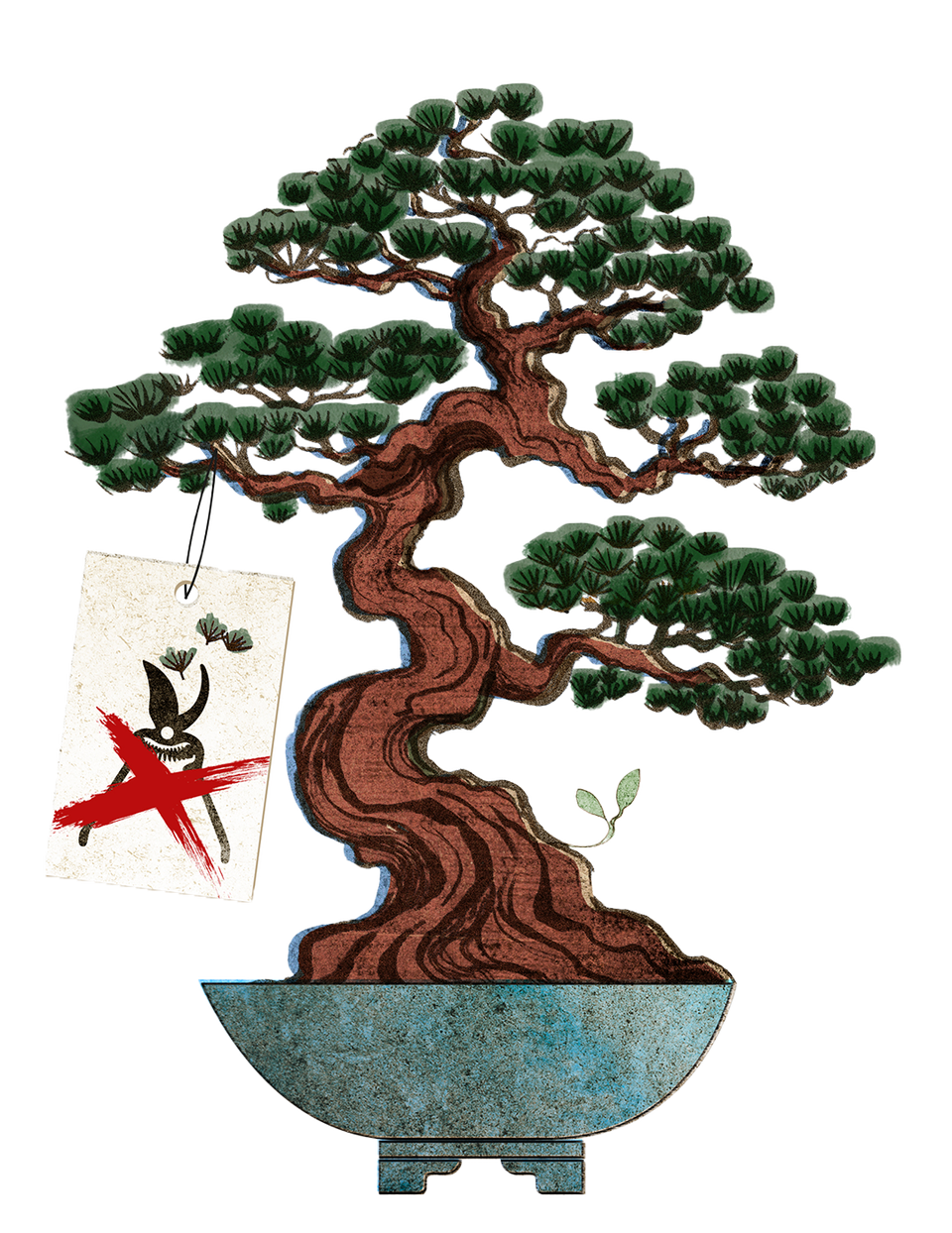 En bonsaiträd med brunt, slingrande stammträd och grön lövverk i en blågrön kruka med en etikett.