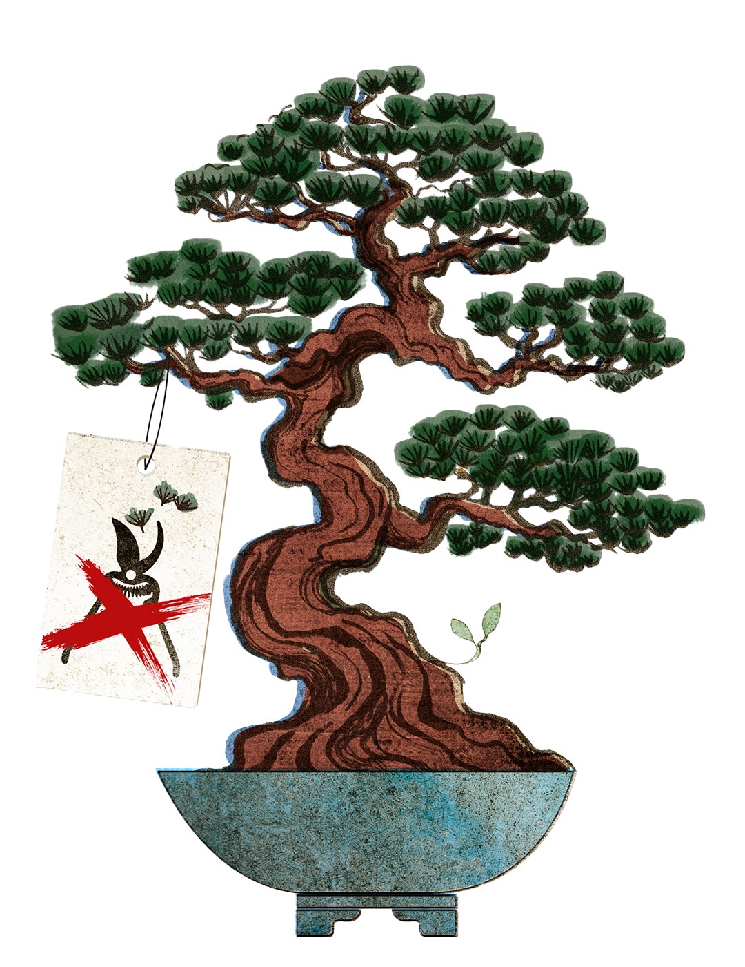 En bonsaiträd med brunt, slingrande stammträd och grön lövverk i en blågrön kruka med en etikett.