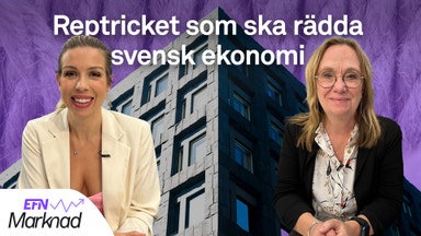 Chefsekonom: Här borde regeringen satsa mer