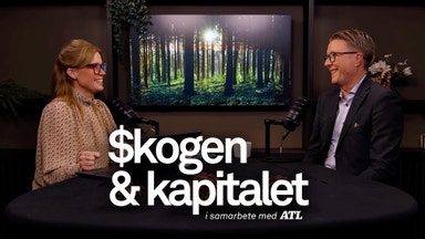 Från tvärstopp till uppgång – skogsaffärerna tar fart