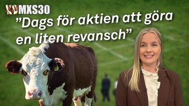 Fondexperten spöar korna och alla andra