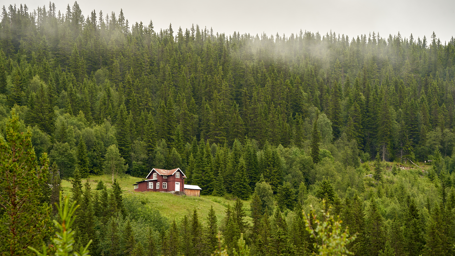 Lågprisdiket borta – nu ökar priset på skogsfastigheter