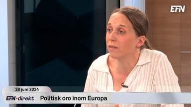 Marknadsoro inför söndagens val i Frankrike