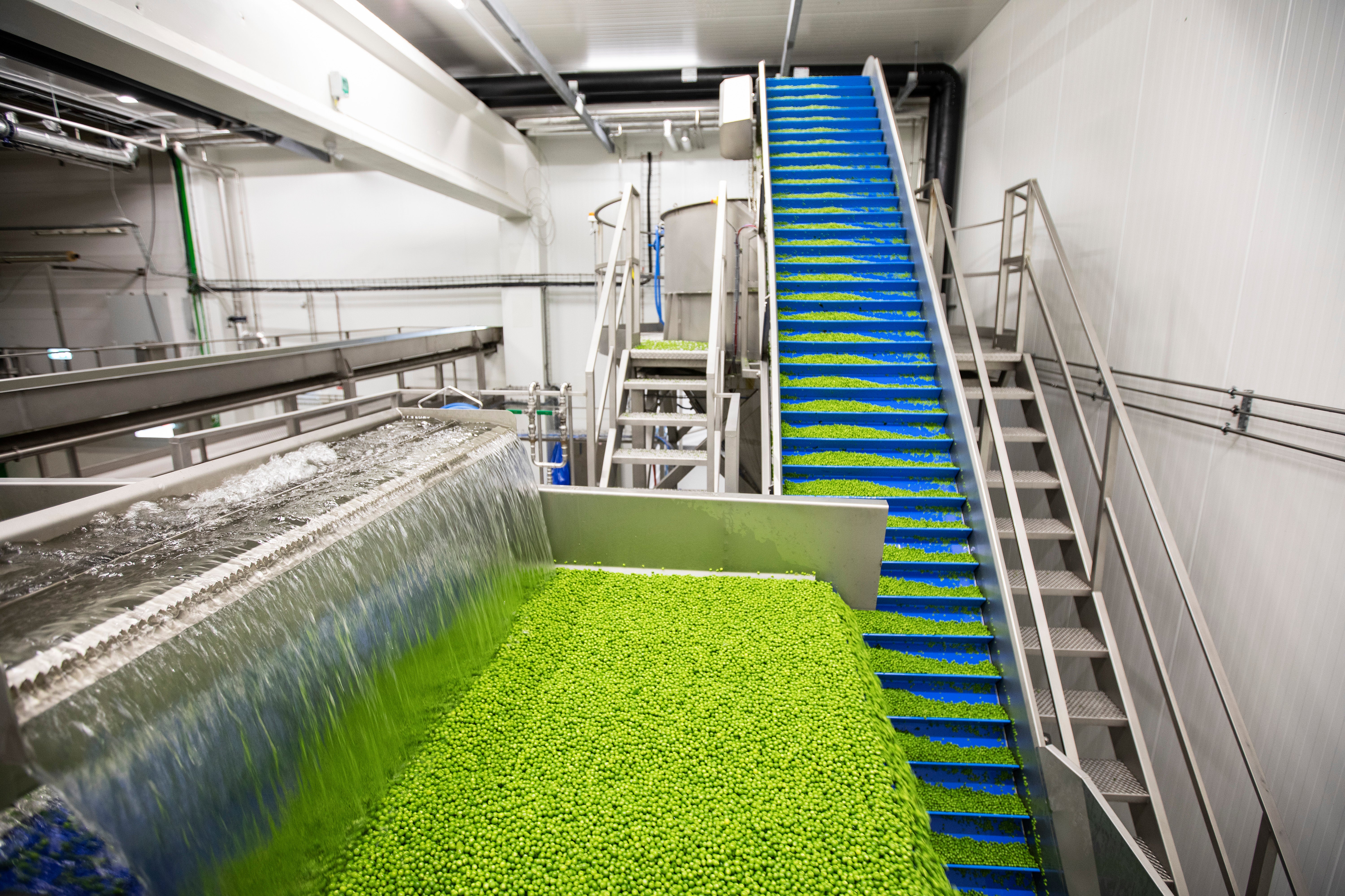 Finskt börsbolag ska lyfta ärtfabriken i Bjuv