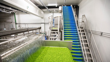 Finskt börsbolag ska lyfta ärtfabriken i Bjuv