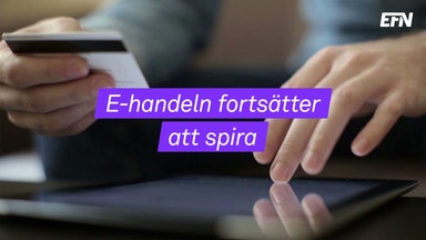 Nätmaten rusade i sommar