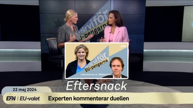 EU-duellen: Anna Stellinger om duellen mellan Holmgren och Karlsbro