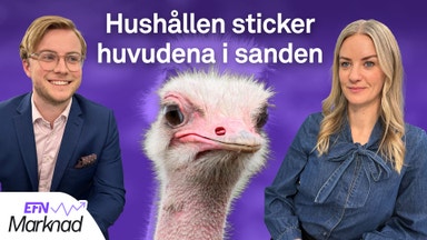 Rapporter och räntebesked – så ska du tänka nu