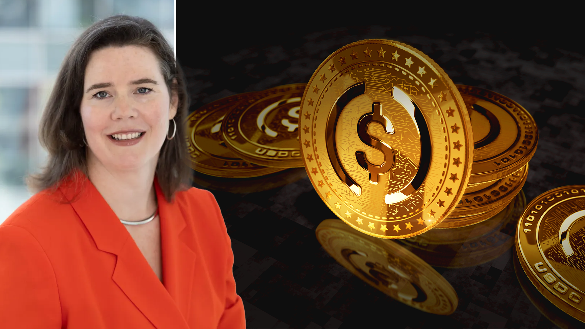 Hilary J. Allen America University 