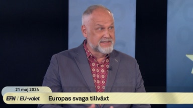 Sjöstedts och Tobés ordväxling om gröna omställningen