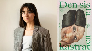 Läskrisen är fake news – här är novellerna att läsa 2026