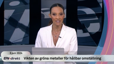 EFN Direkt 3 juni 11:30