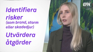 Detta bör du tänka på som nybliven skogsägare