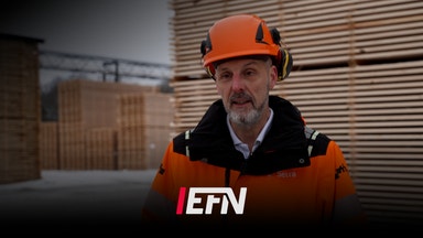 Stormfällt timmer ger andrum för pressad sågverksindustri