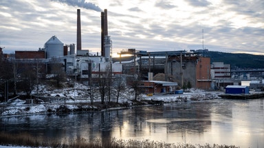 Ljusning för pressade skogsbolag