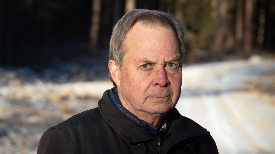 Karl Hedin skogen skog 