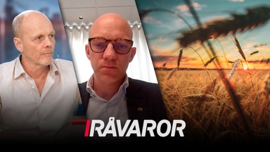 Vetepriser på väg upp i konfliktens spår?