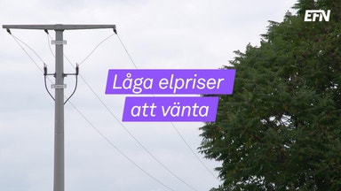 Rekordlågt elpris väntas i sommar