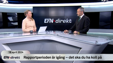 Aktiestrategen: Det ska du ha koll på i rapportfloden