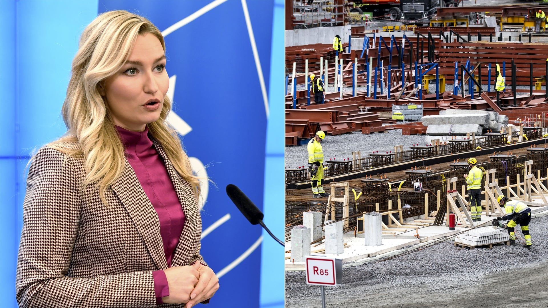 Stegras storägare angriper statens strategi