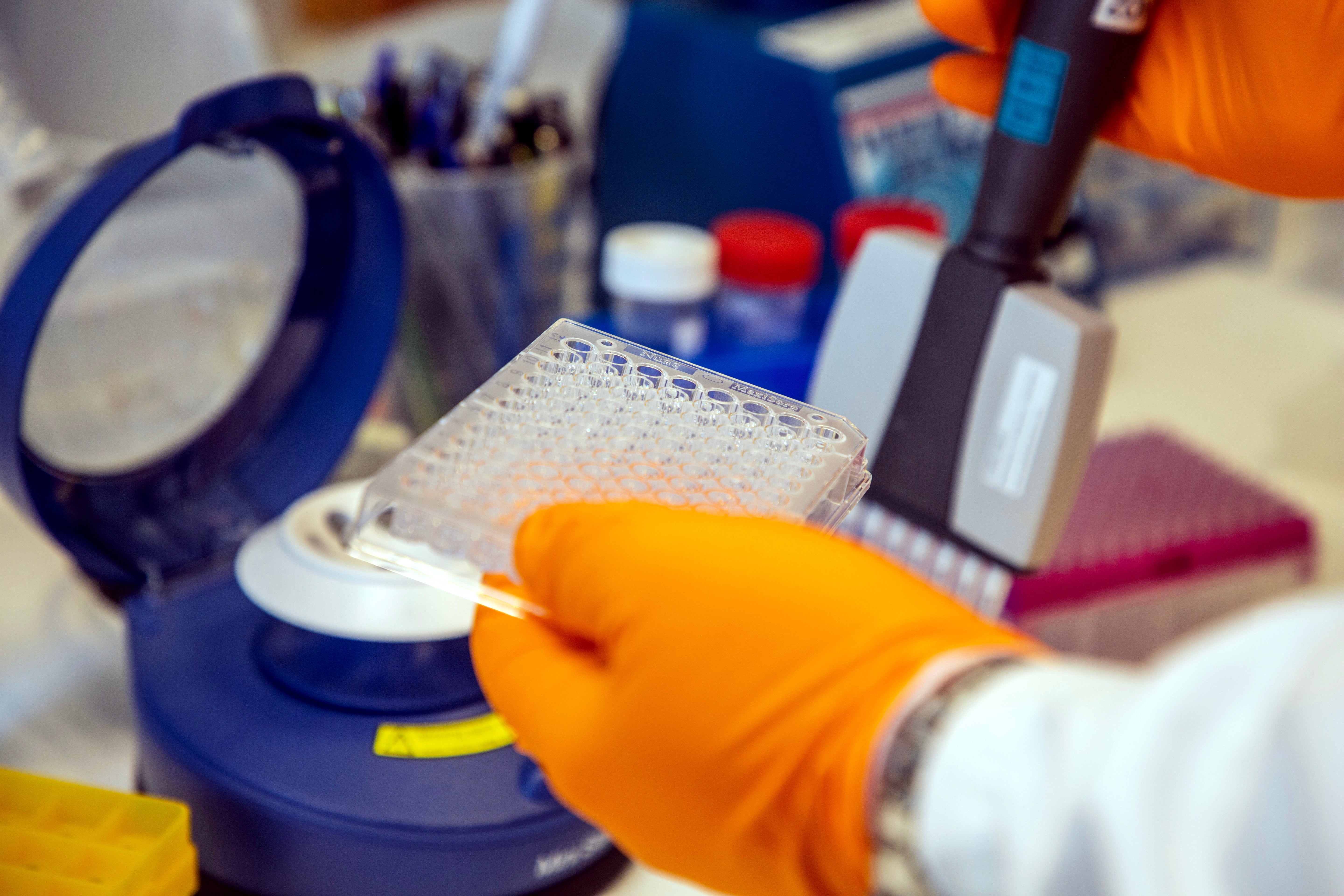 Kelly Connelin: En högst märklig och haltande rapport