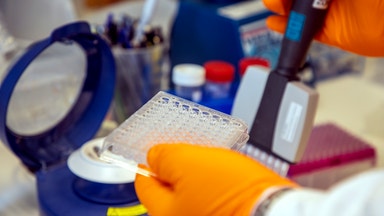 Kelly Connelin: En högst märklig och haltande rapport