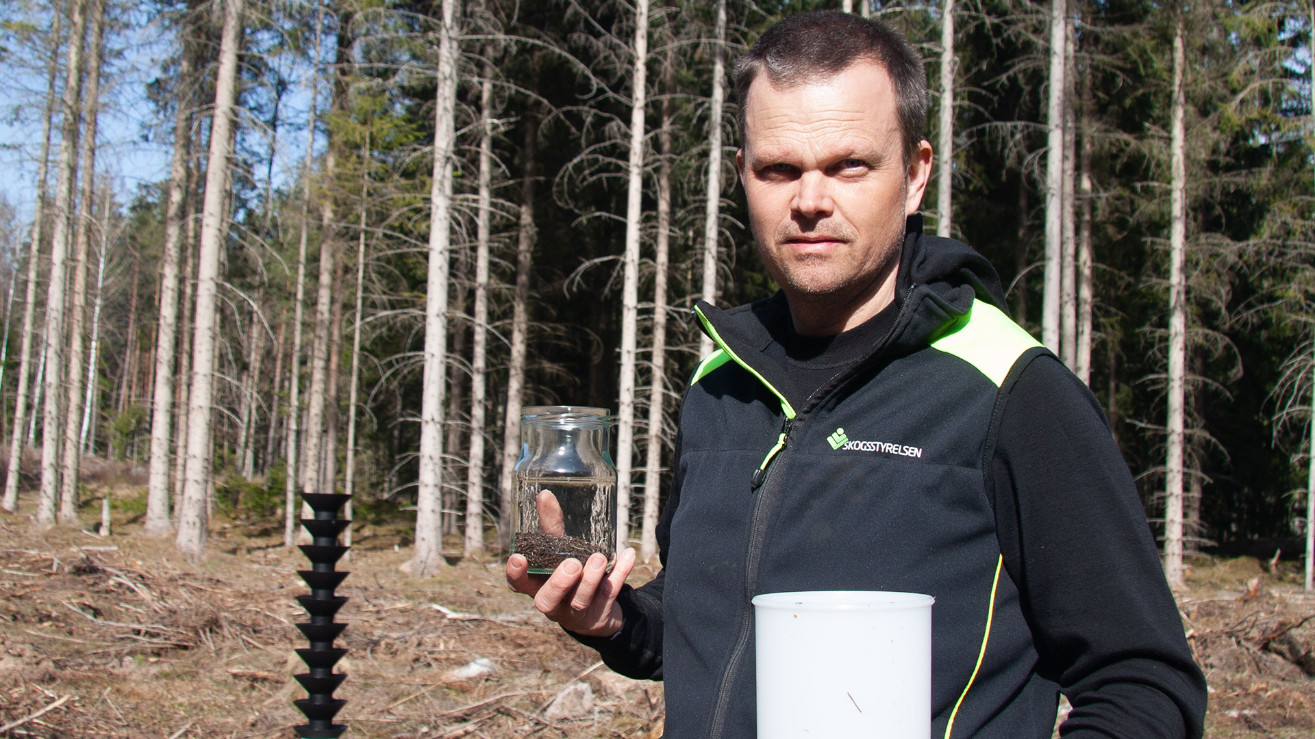Risk för stora angrepp av granbarkborre nästa sommar