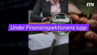 Tre områden som FI hårdgranskar 2022