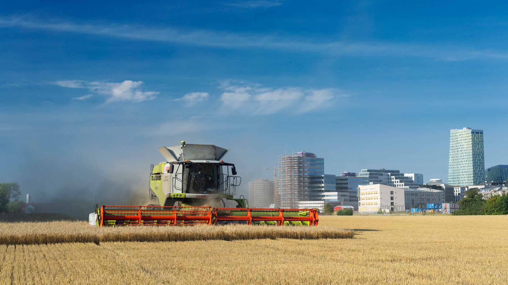 En skördemaskin arbetar i ett kornfält med stadssiluett i bakgrunden under blå himmel.