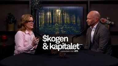 Billerud om krisen, USA-satsningen och framtidens fiber