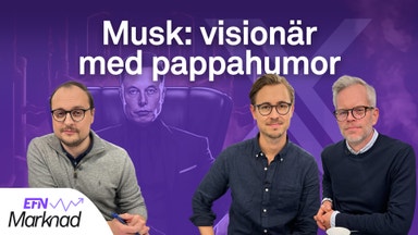 Elon Musk – geni eller galning?