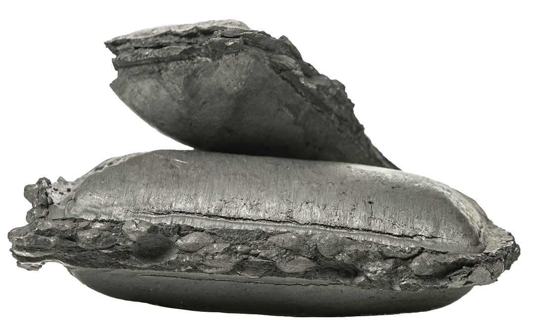 Järnsvamp Gällivare