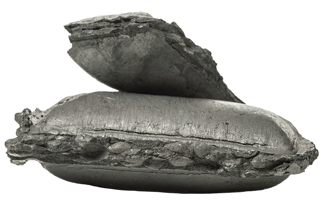 Järnsvamp Gällivare