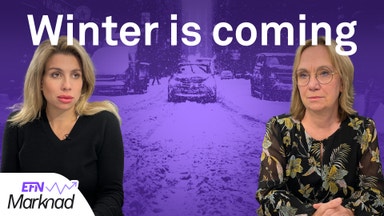 ”En av de mest väntade lågkonjunkturerna”