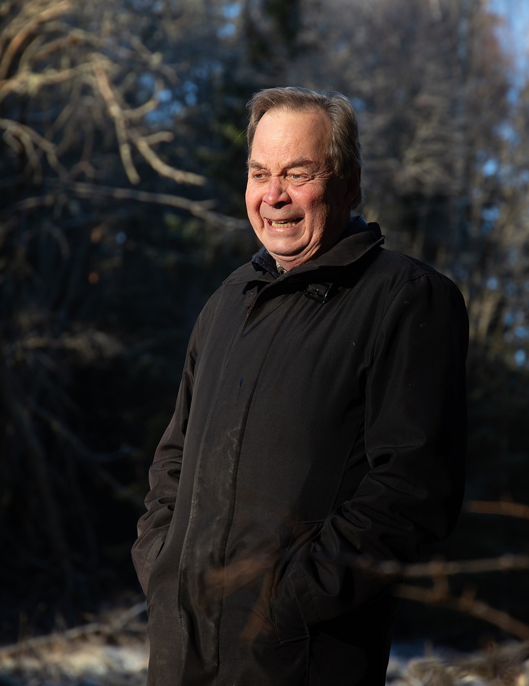 Karl Hedin Skog Skogen